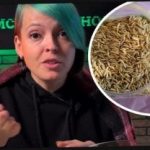 Cara memilih baja hijau dan mengejutkan jiran -jiran anda dengan