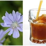 Cara Mudah Memb Chicory Kvass Di Rumah: Resipi yang sangat