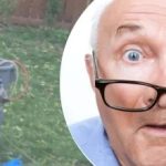 Penem aneh berhampiran pokok meninggalkan jiran yang bingung: rahsia apa